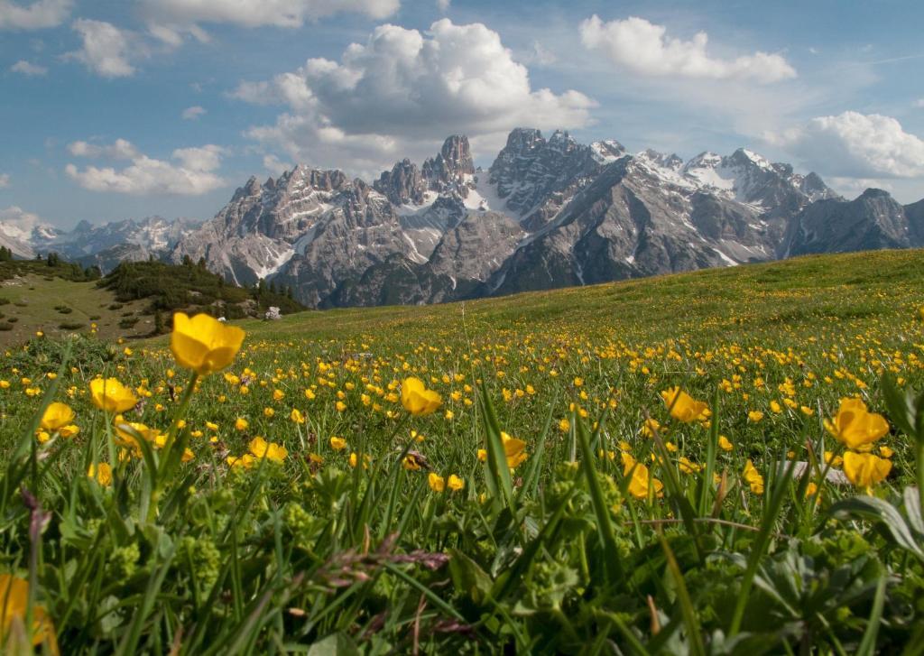 Hotel Erika Braies  Dış mekan fotoğraf